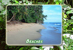 Costa Rican Beaches