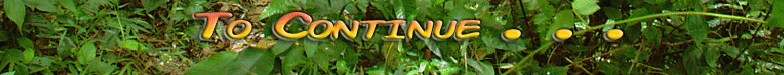 Continue Tour of Costa Rican Homes for Sale